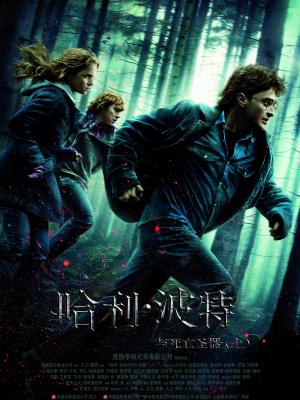 医心向阳